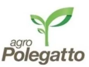 Agro polegatto